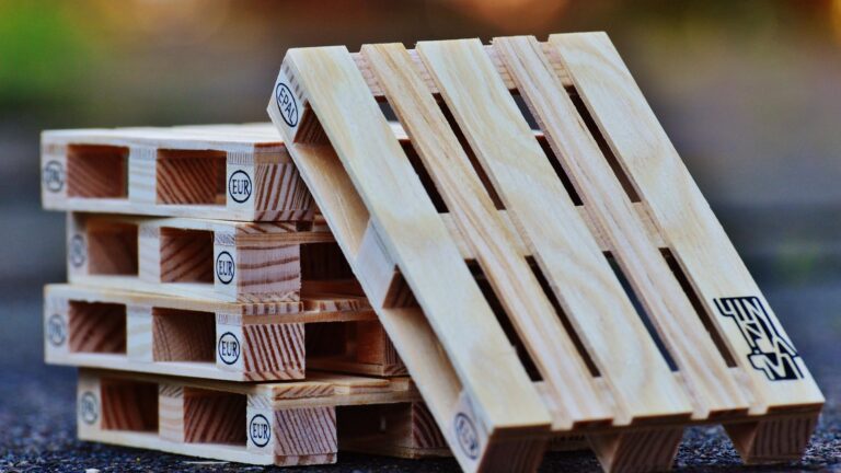 Docenti esperti per il corso di Addetto alla logistica, per la regione Veneto 3 euro pallets 1160806 1920